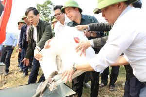 Read more about the article <h1>Thành phố Hạ Long tổ chức lễ phát động thả 20 vạn con giống về môi trường tự nhiên